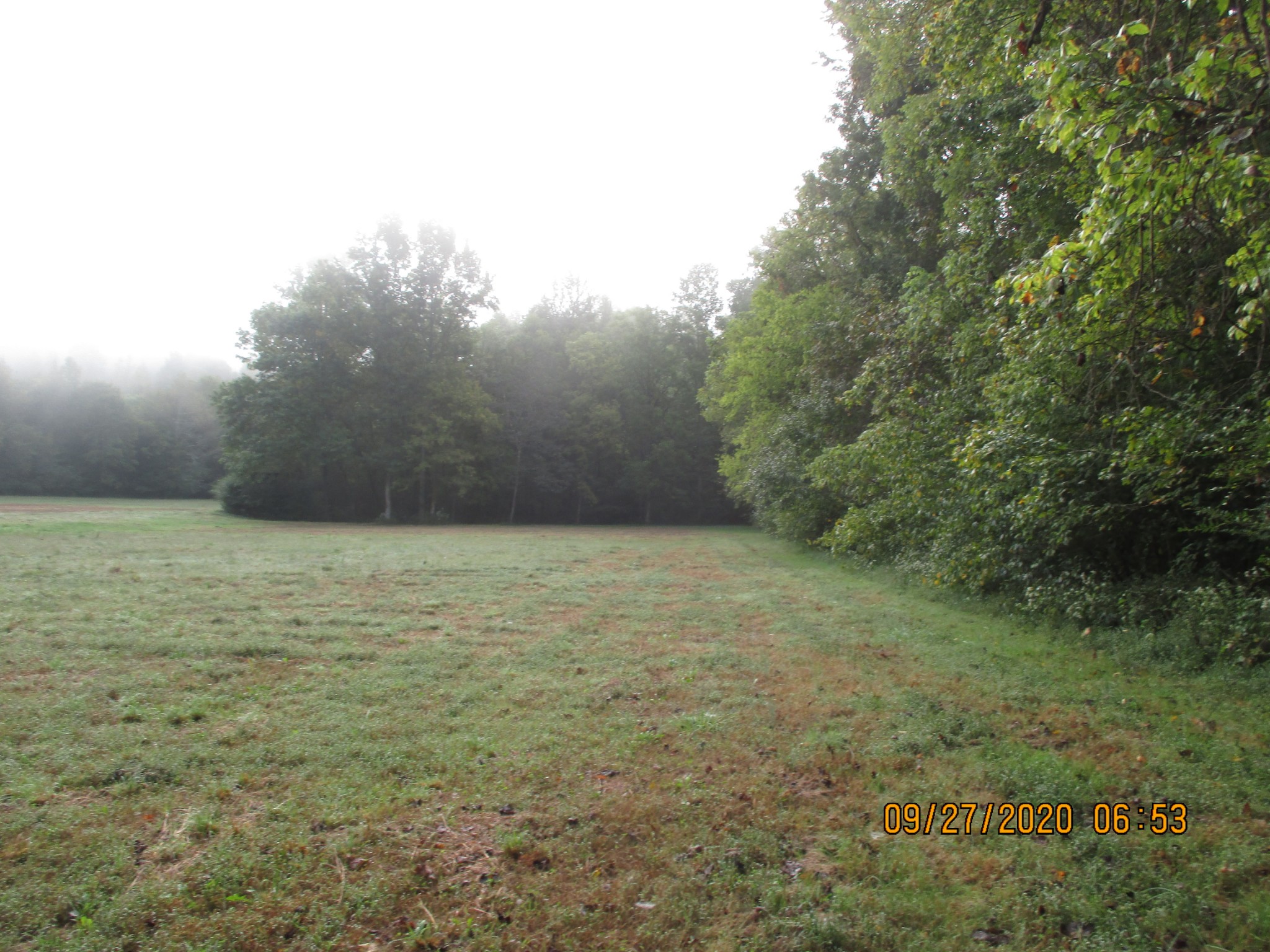 1 Greenfield Road Prospect, TN 38477 - Photo 13 of 16