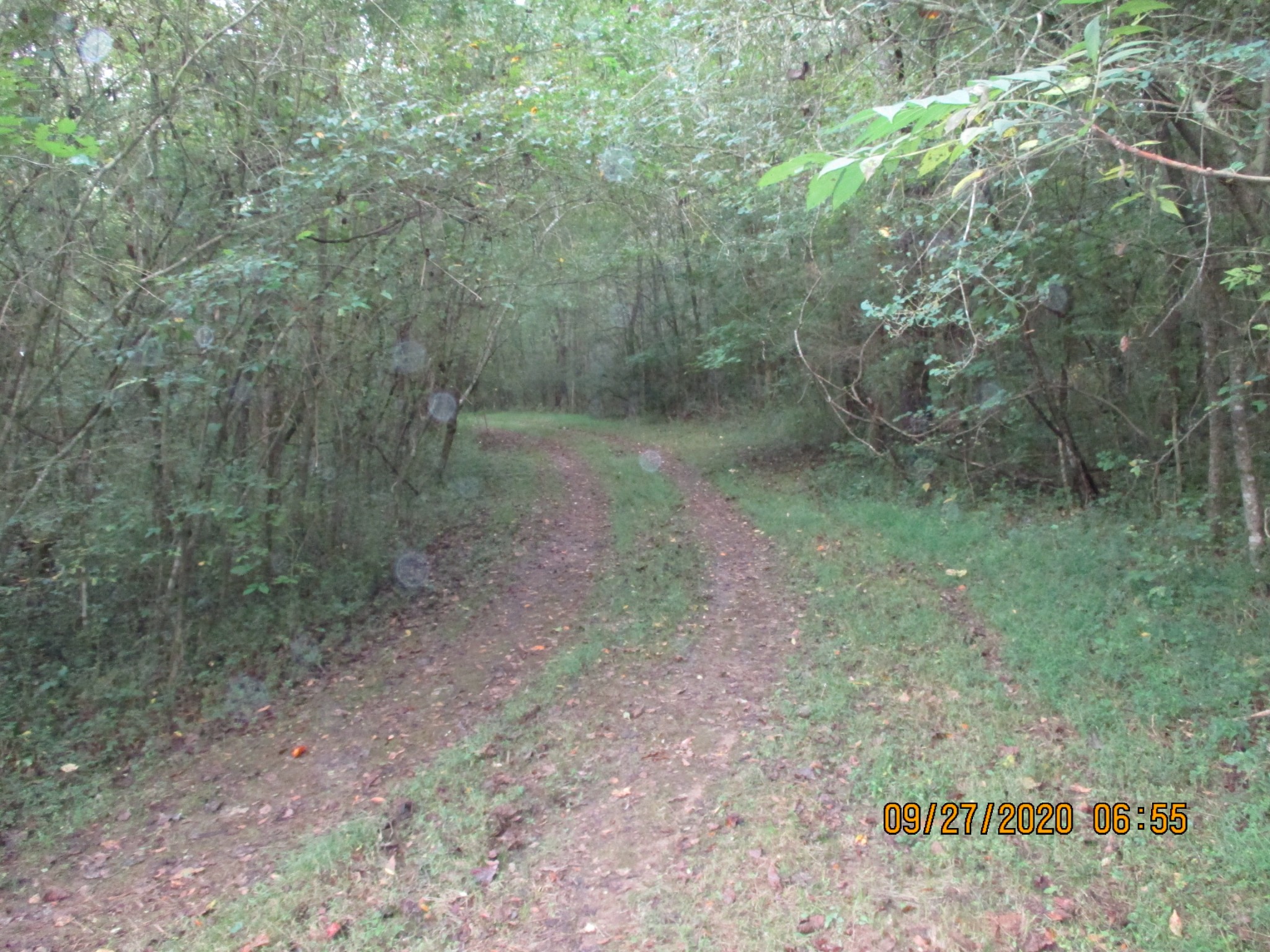 1 Greenfield Road Prospect, TN 38477 - Photo 16 of 16