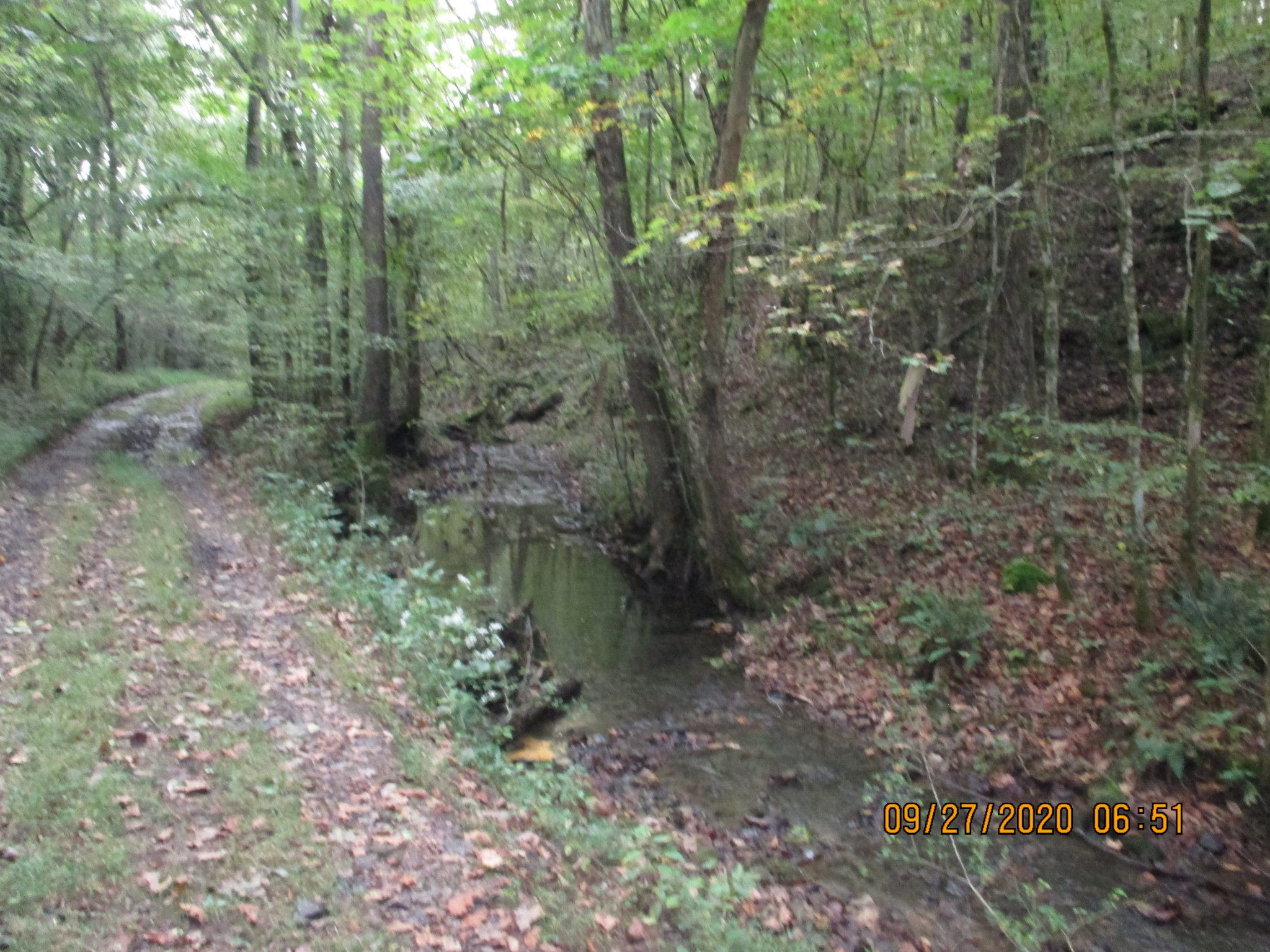 1 Greenfield Road Prospect, TN 38477 - Photo 2 of 16