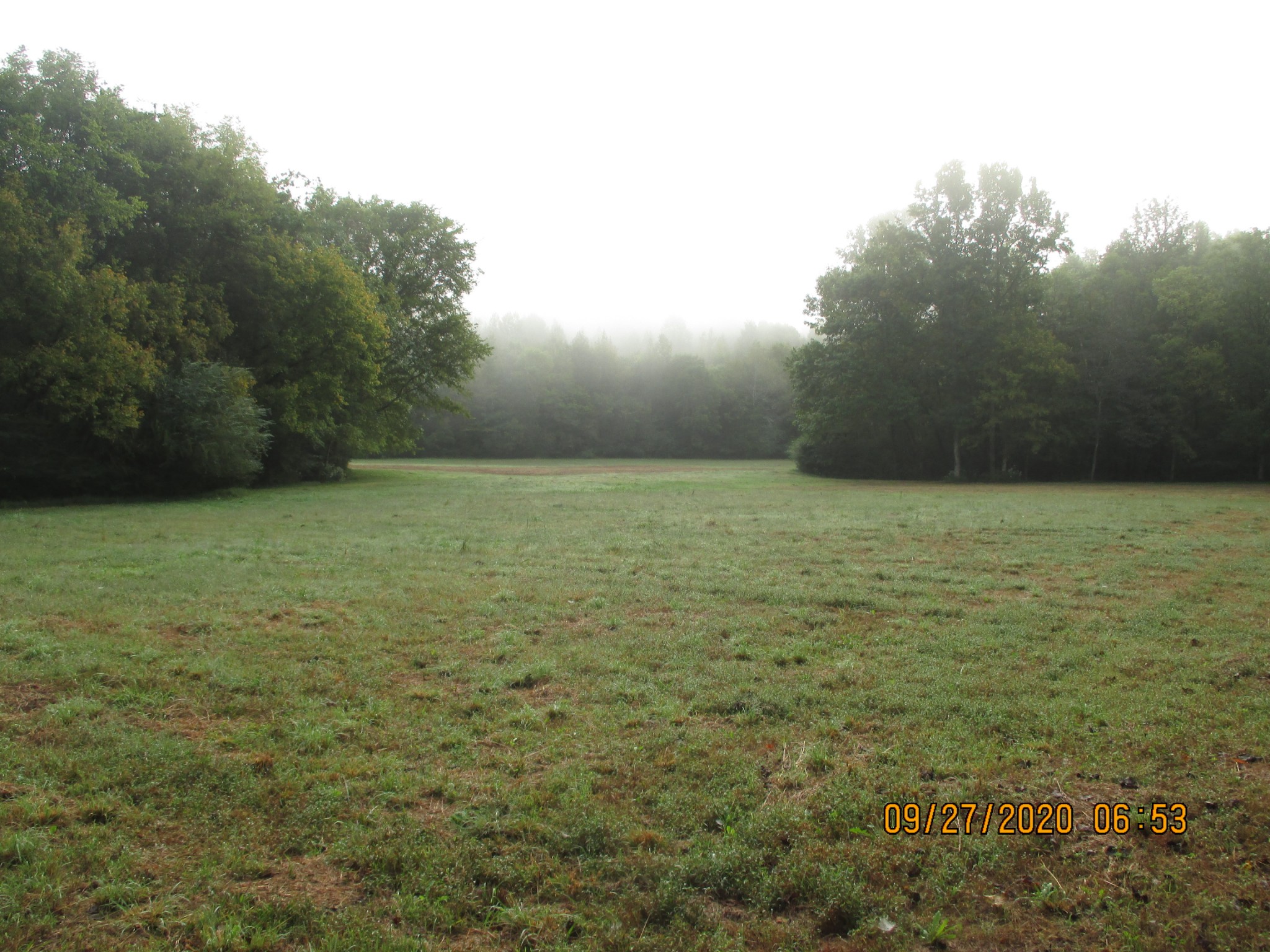 1 Greenfield Road Prospect, TN 38477 - Photo 3 of 16