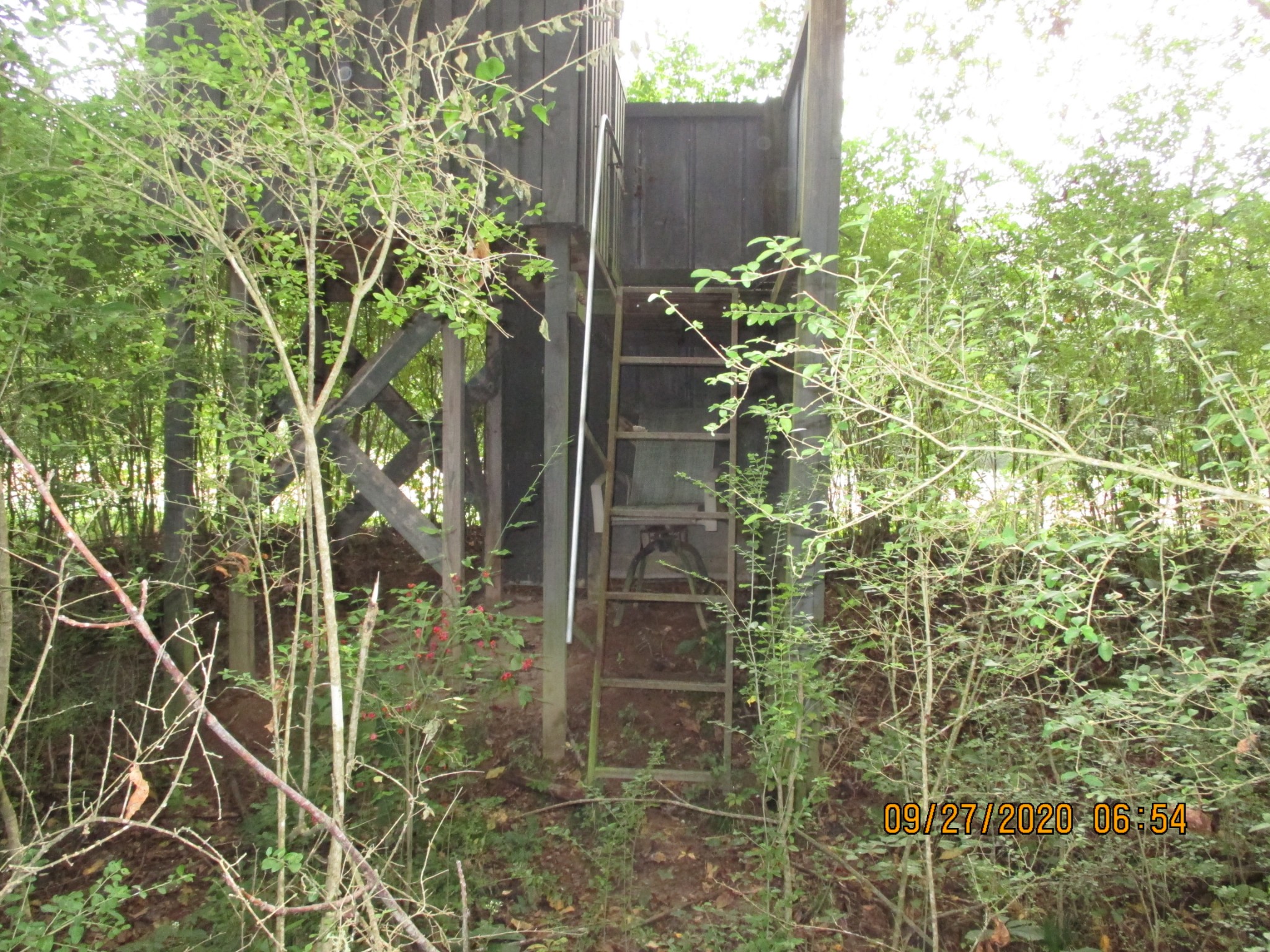 1 Greenfield Road Prospect, TN 38477 - Photo 4 of 16