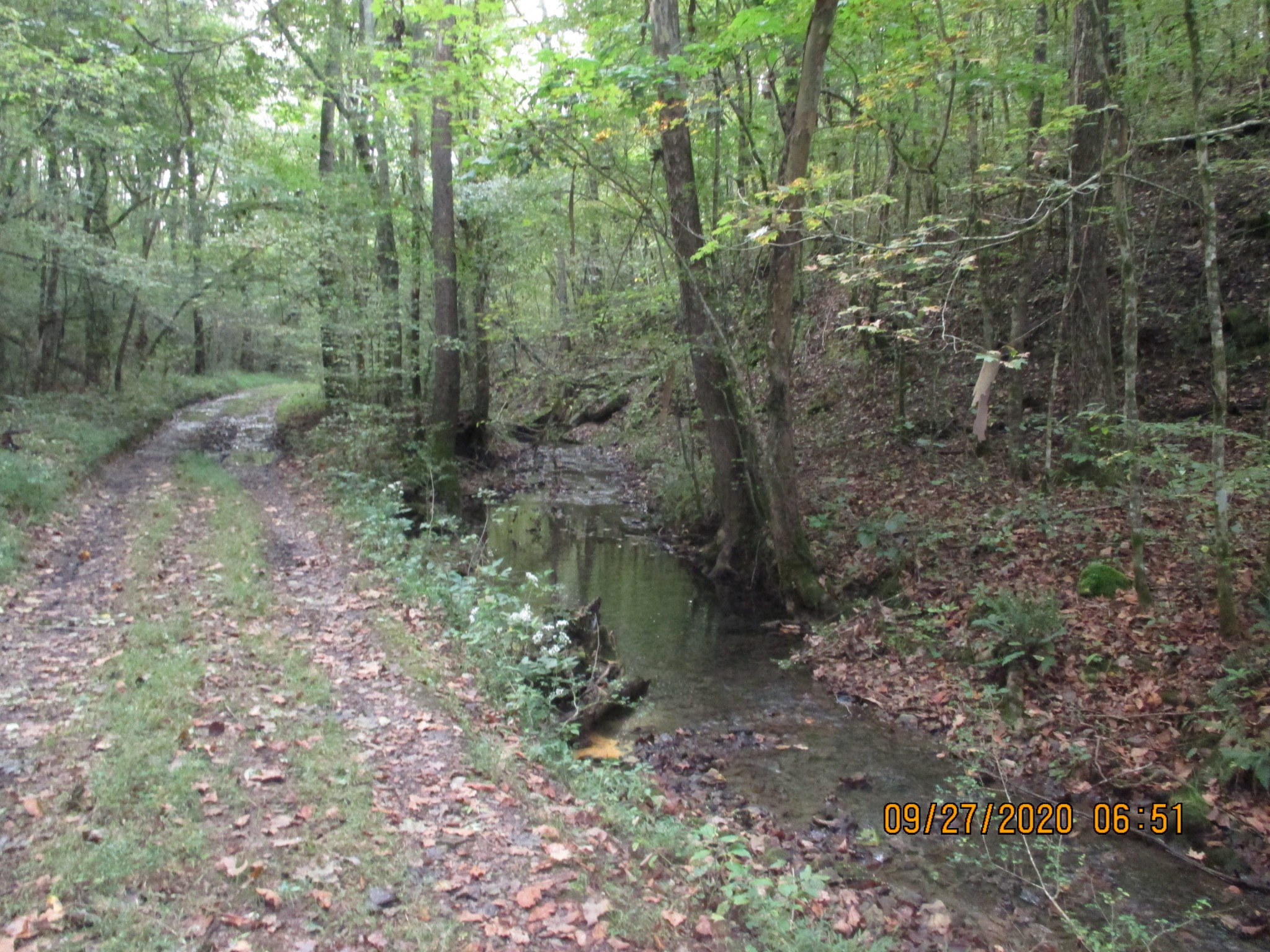 1 Greenfield Road Prospect, TN 38477 - Photo 7 of 16