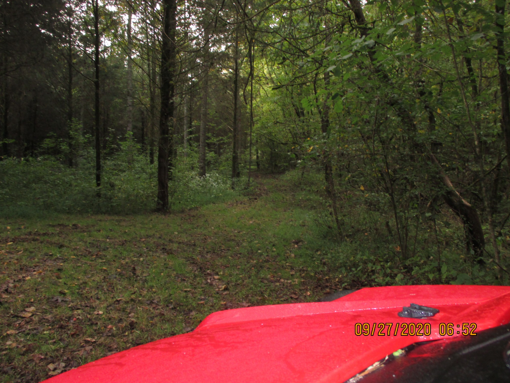 1 Greenfield Road Prospect, TN 38477 - Photo 8 of 16