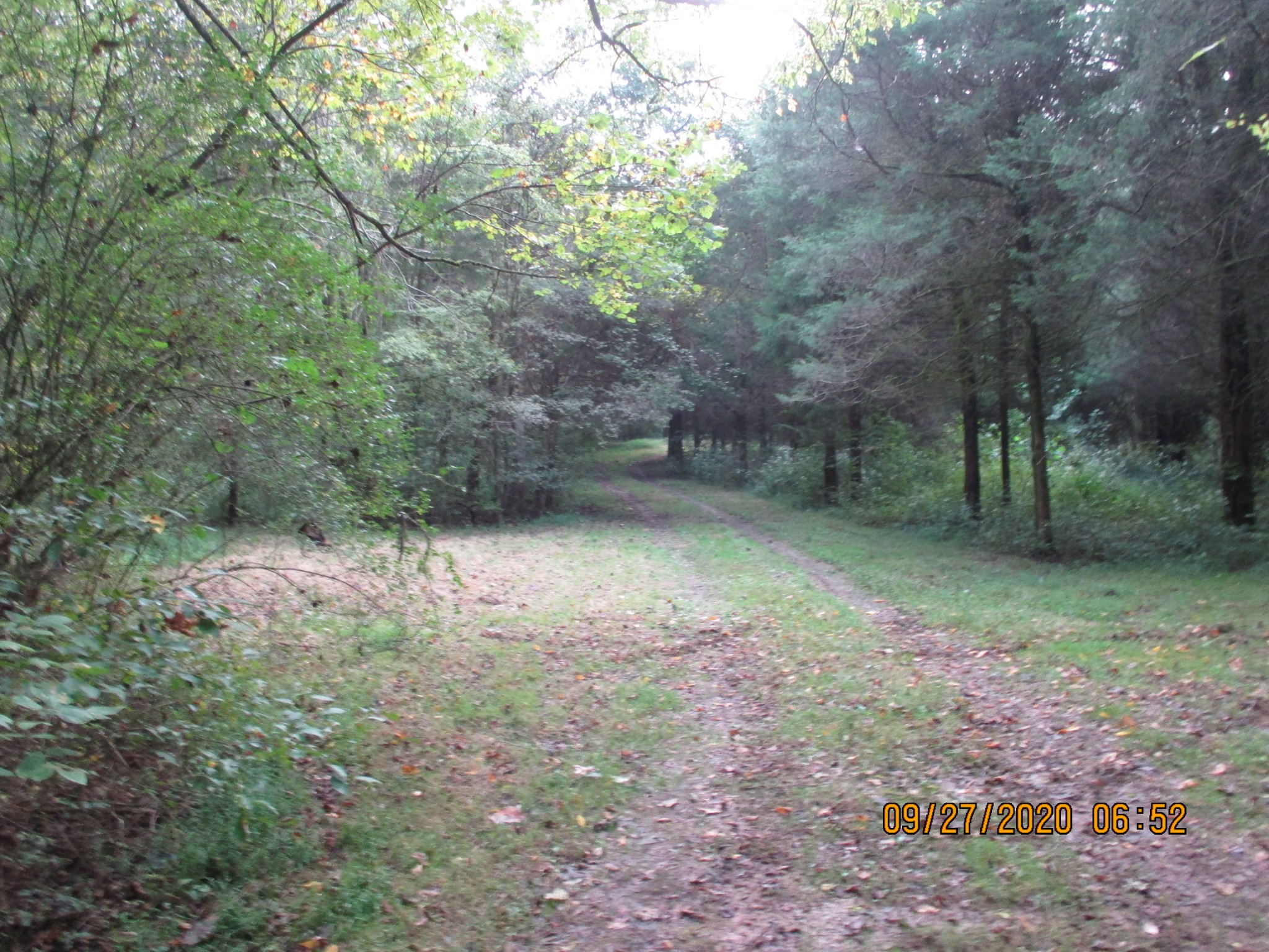 1 Greenfield Road Prospect, TN 38477 - Photo 9 of 16