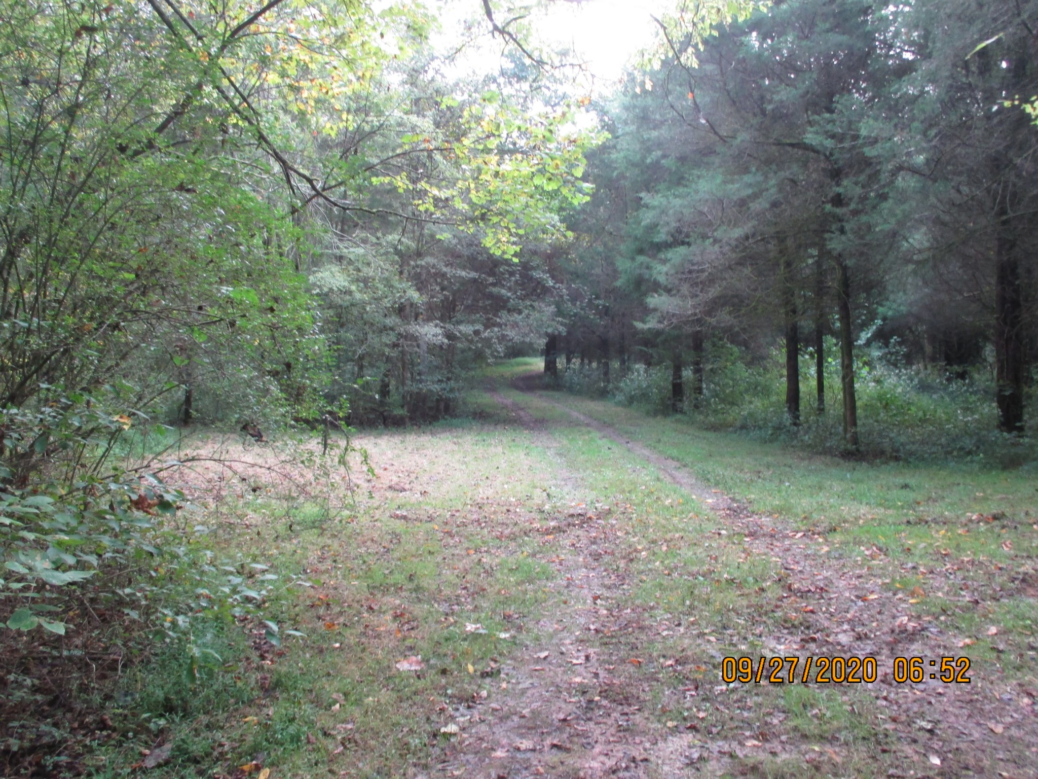 1 Greenfield Road Prospect, TN 38477 - Photo 10 of 16