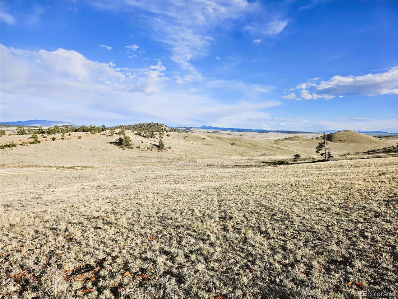 24142 Antero Road Hartsel, CO 80449 - Photo 17 of 48