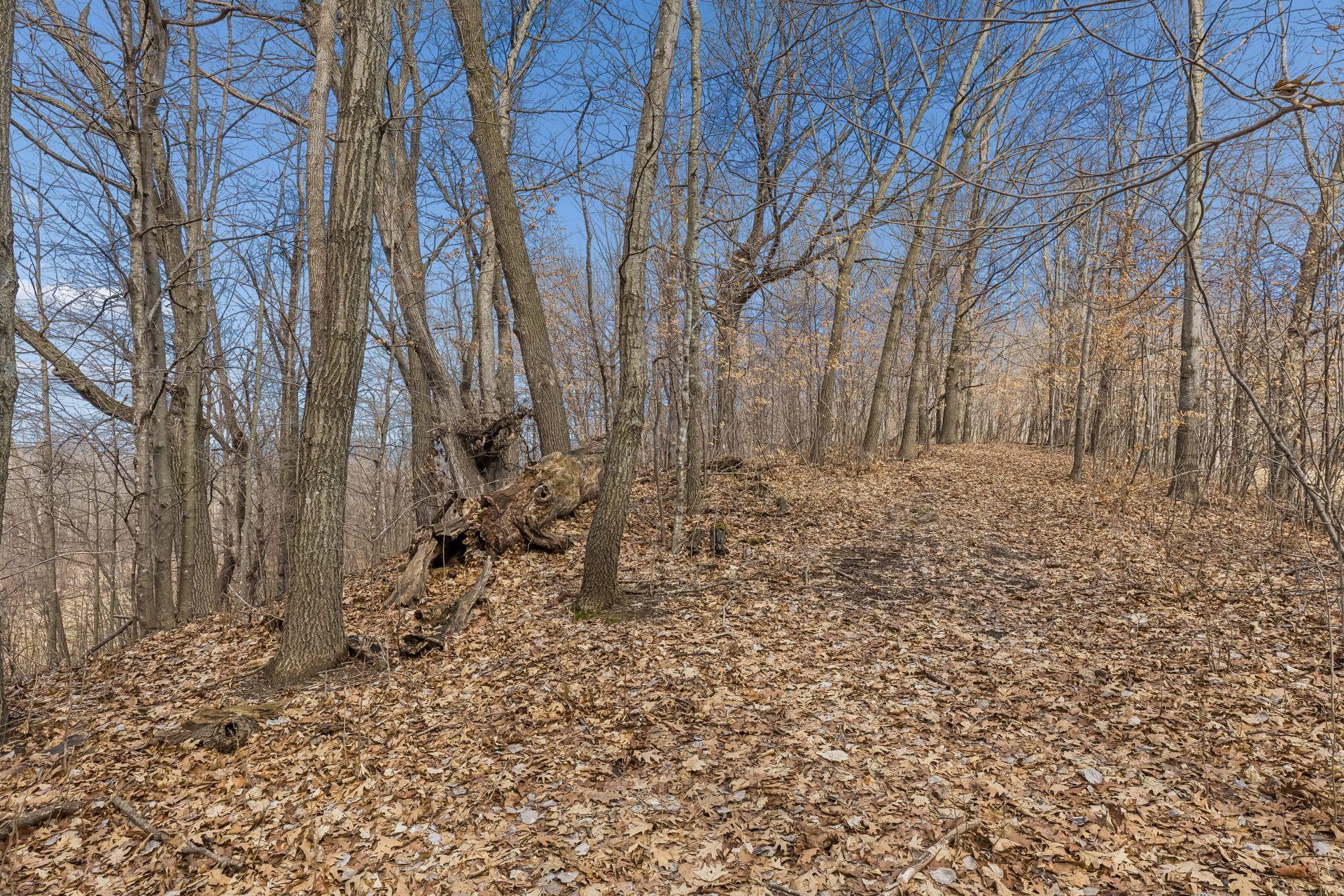 L3 Crescent Road Harris, MN 55032 - Photo 5 of 15