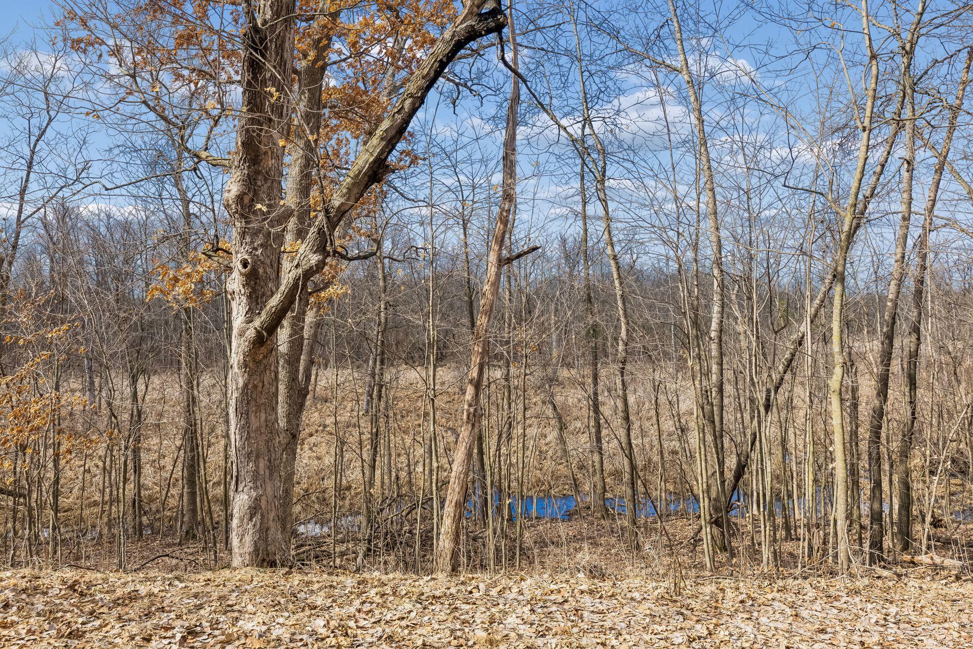 L3 Crescent Road Harris, MN 55032 - Photo 6 of 15