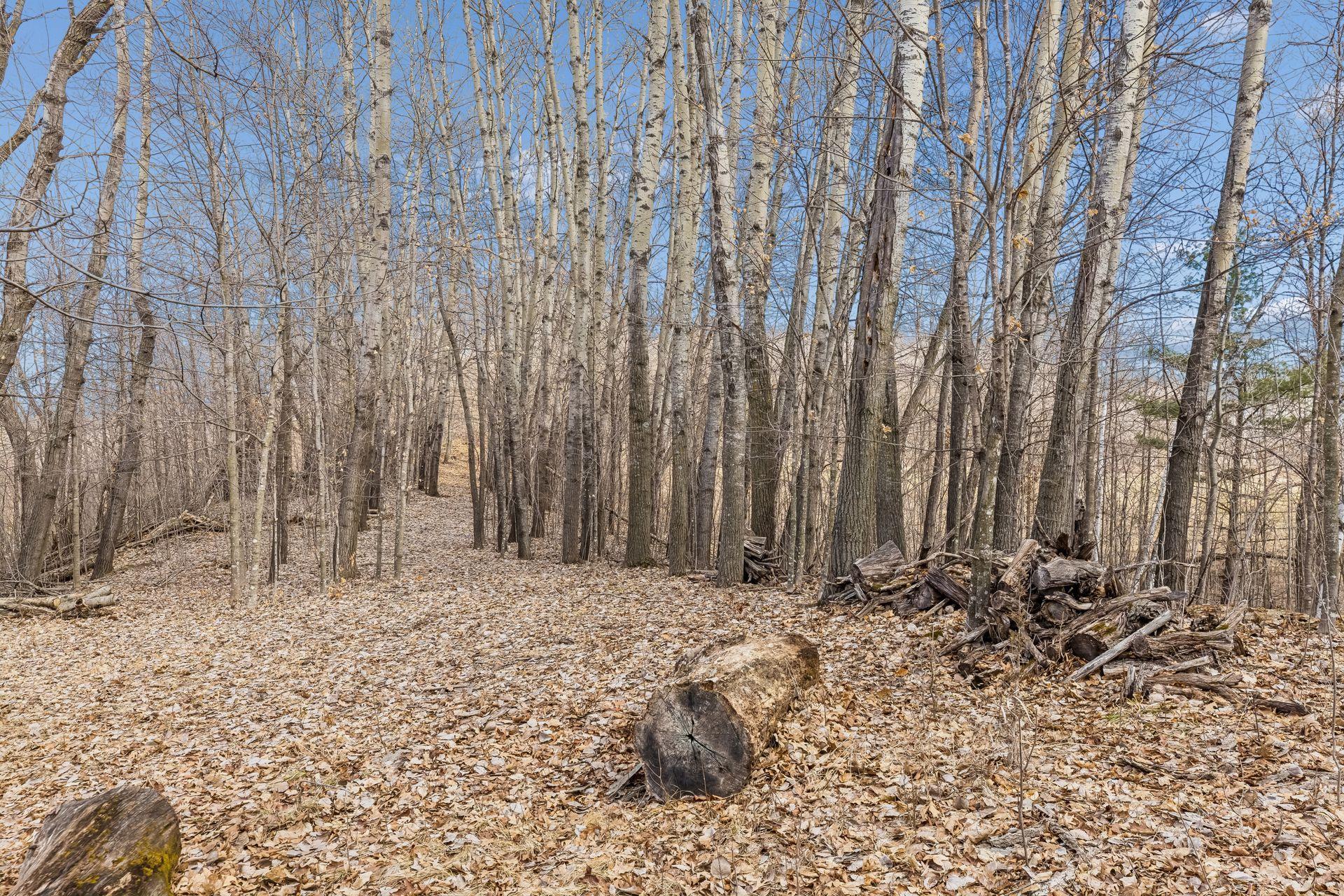 L3 Crescent Road Harris, MN 55032 - Photo 7 of 15