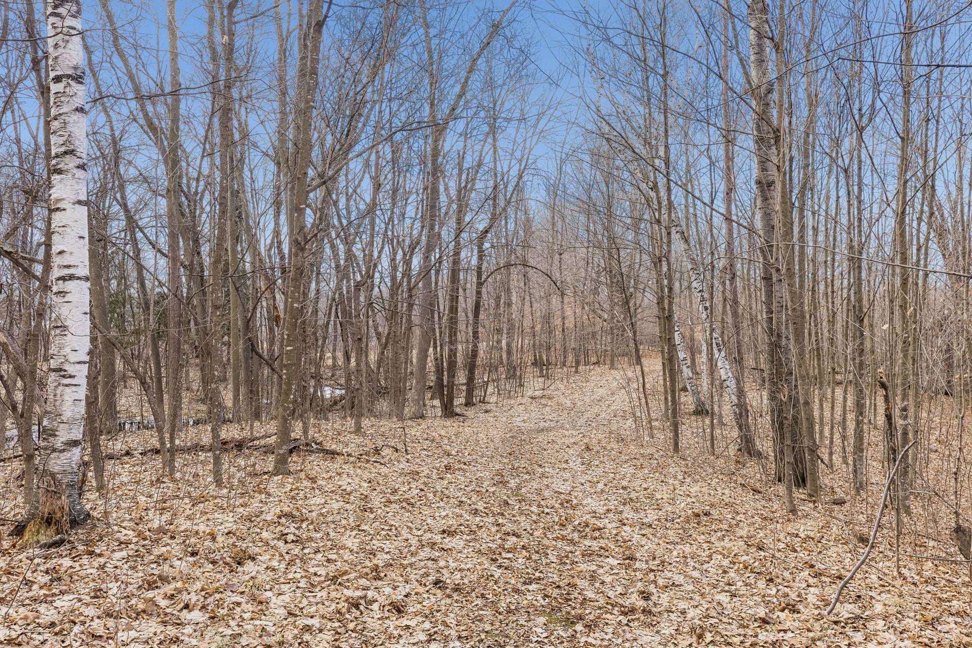 L3 Crescent Road Harris, MN 55032 - Photo 8 of 15