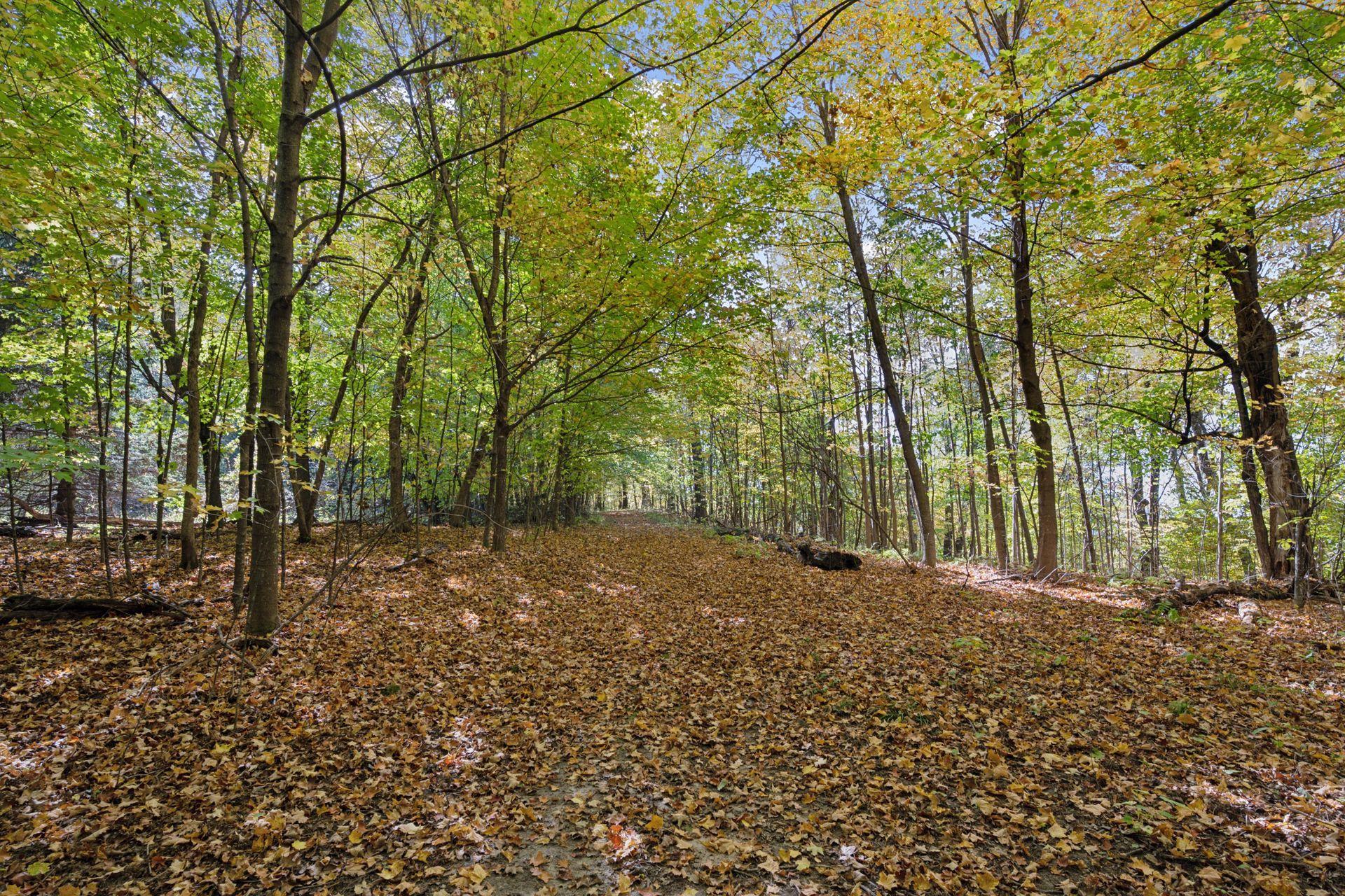 L3 Crescent Road Harris, MN 55032 - Photo 10 of 15