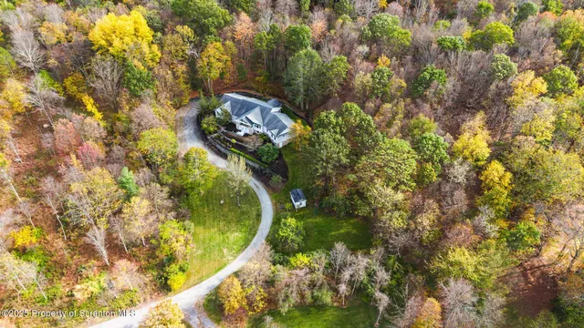 a view of a yard with plants