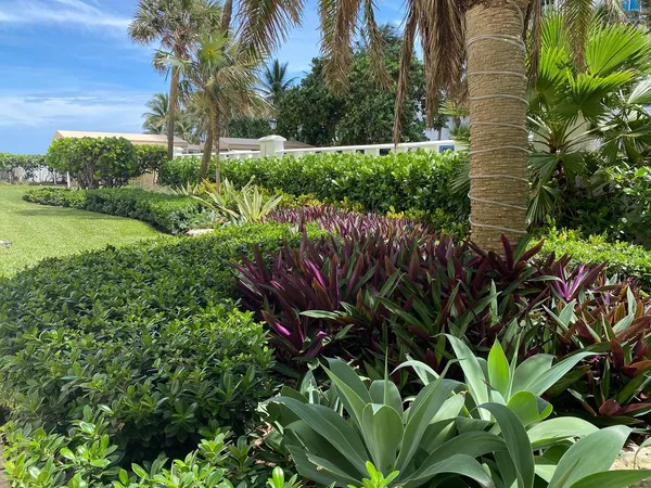 a view of ocean view