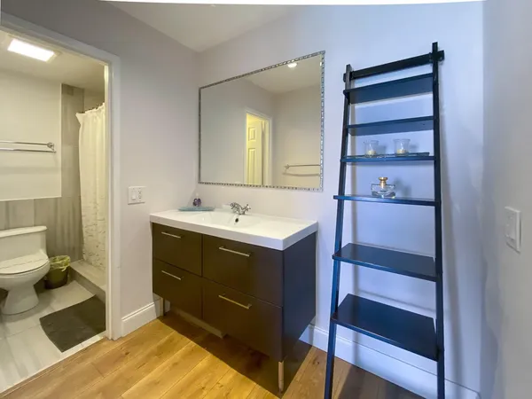 a bathroom with a sink vanity and a toilet