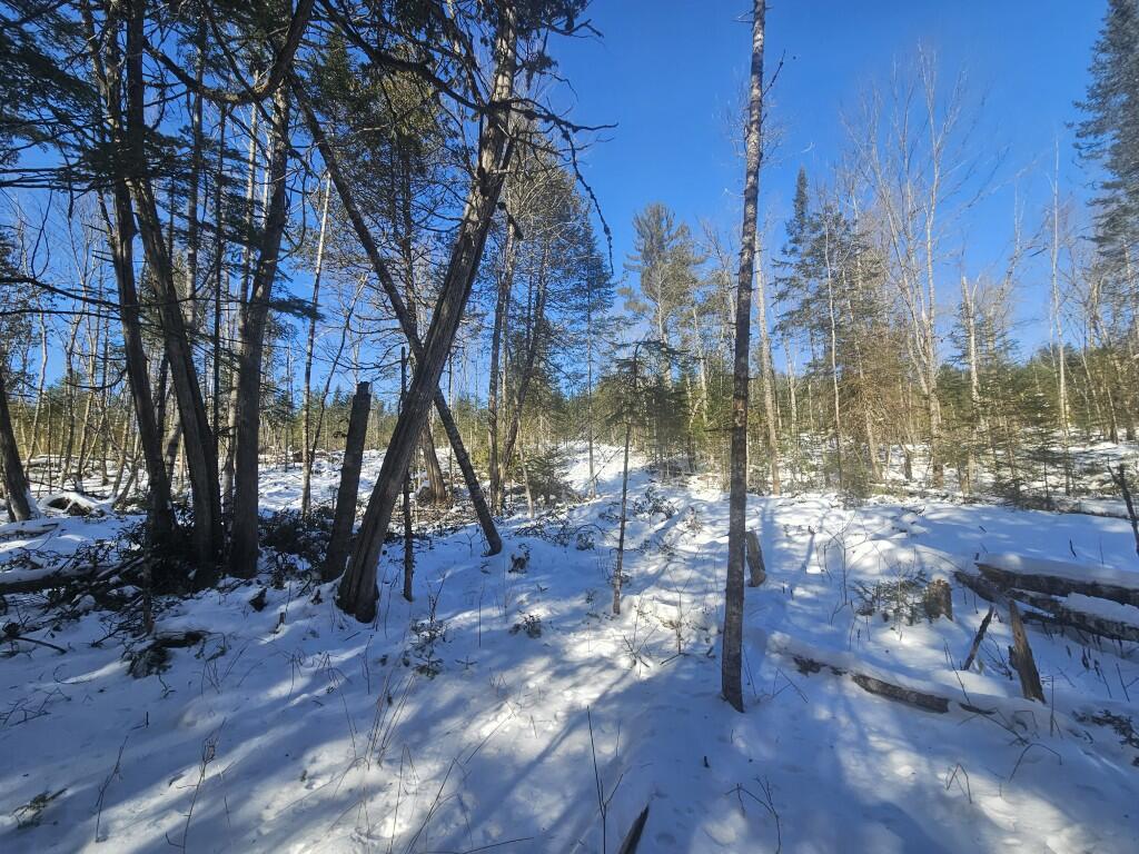 104 Town Road Lagrange, ME 04453 - Photo 15 of 30 11 North lot