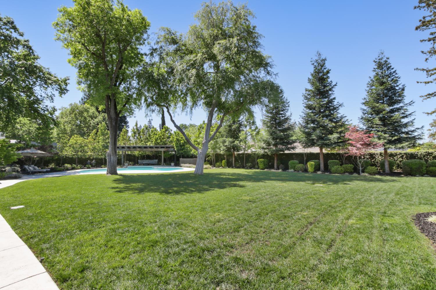 495 Bret Harte Road Sacramento, CA 95864 - Photo 51 of 84 a view of a grassy field with trees