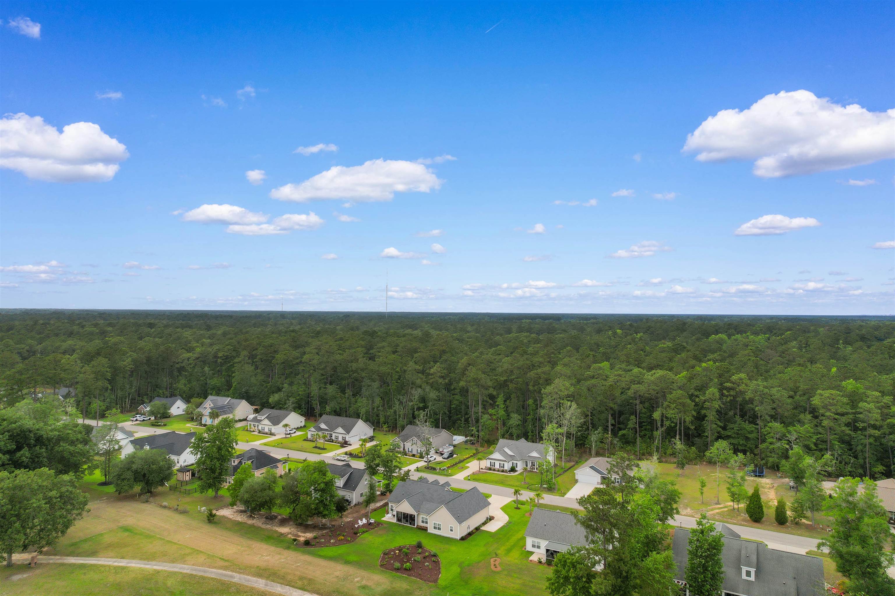 1050 Francis Parker Road Georgetown, SC 29440 - Photo 44 of 76