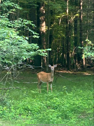 $598,900 | 717 West 17th Drive, Arkdale, WI 54613