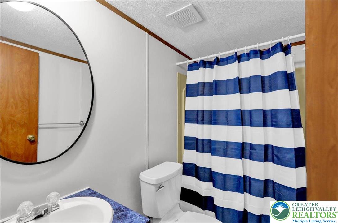 8758 Turkey Ridge Road, Unit 180 Breinigsville, PA 18031 - Photo 24 of 28 a bathroom with a sink a toilet and a mirror