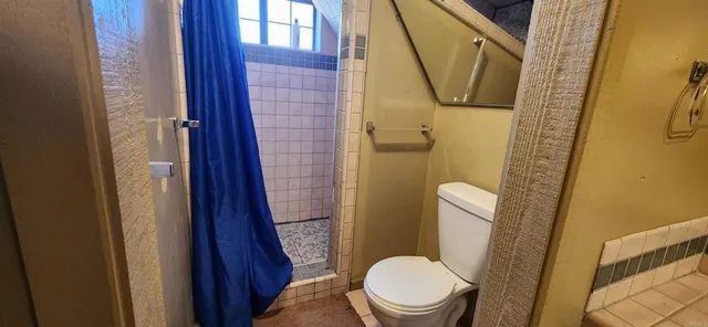 a bathroom with a toilet and a shower