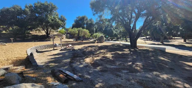 a view of a tree in the middle of a yard