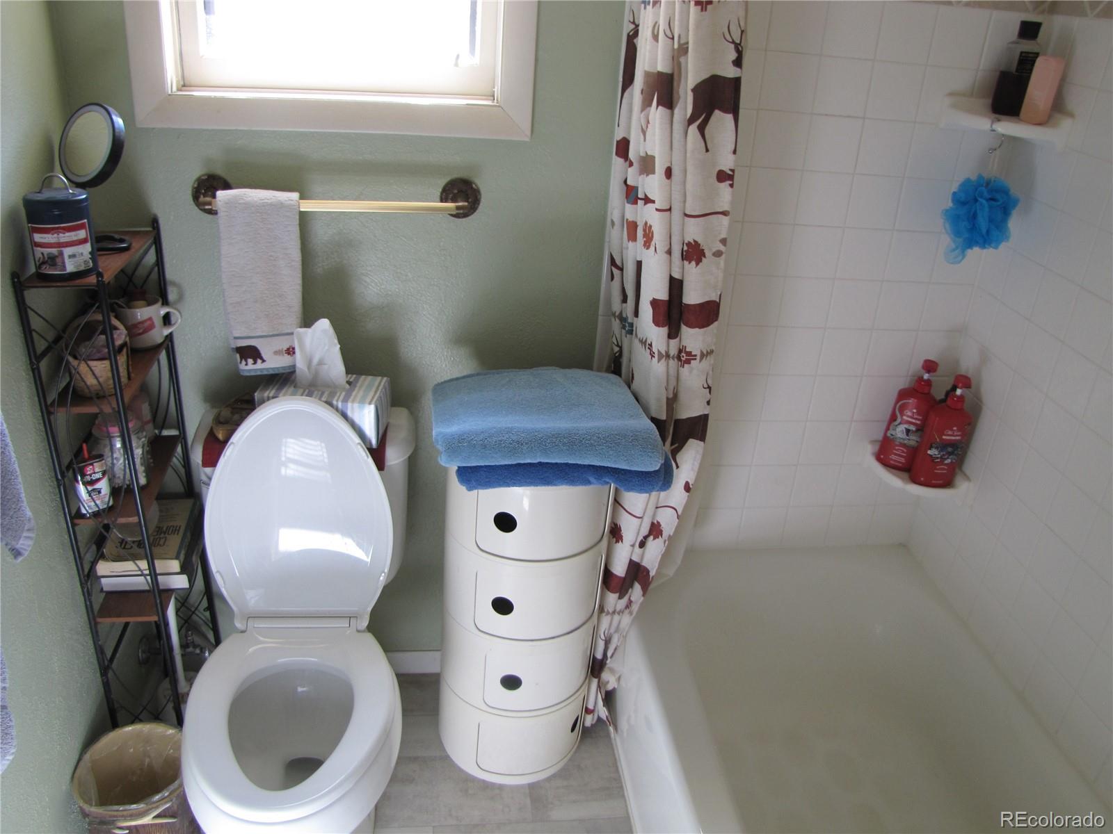 1087 Pulver Road Lake George, CO 80827 - Photo 11 of 33 Gallery Image 11