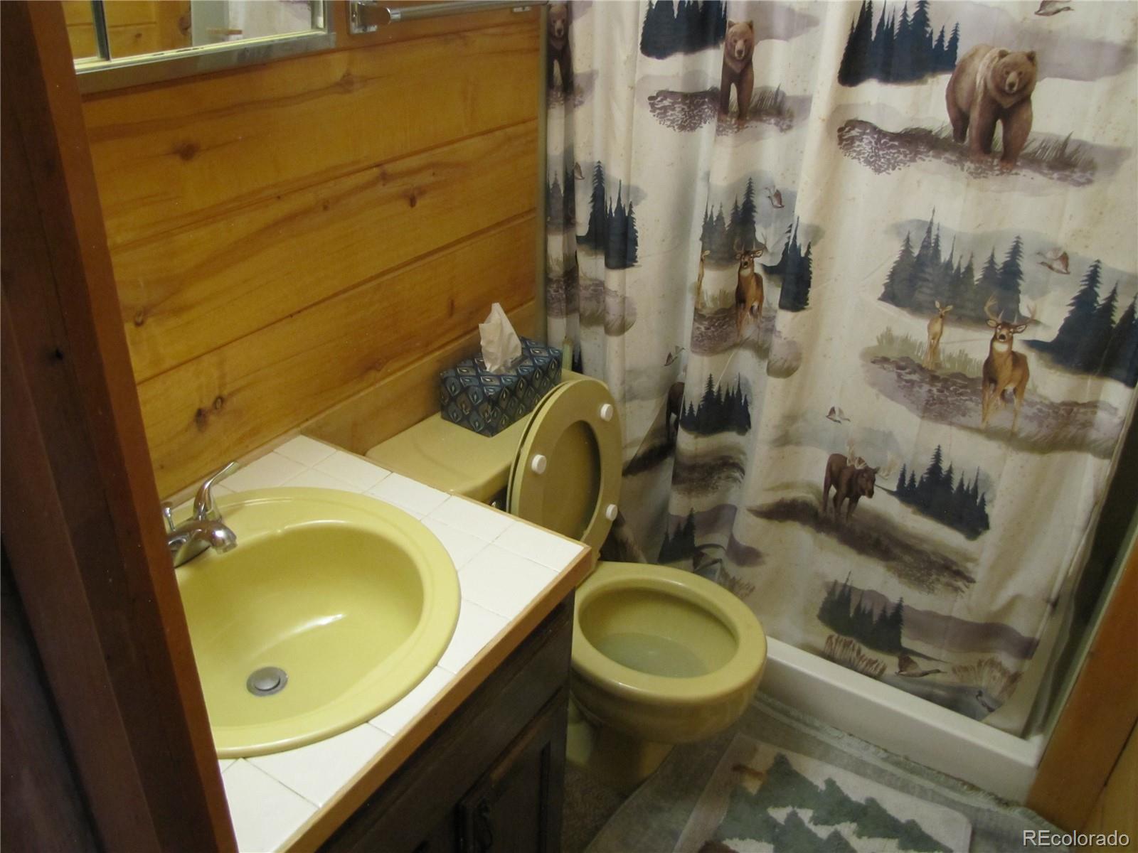 1087 Pulver Road Lake George, CO 80827 - Photo 18 of 33 Gallery Image 18