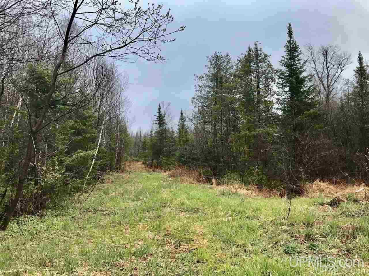 Tbd South Co Rd 519 Highway Bessemer, MI 49911 - Photo 4 of 10