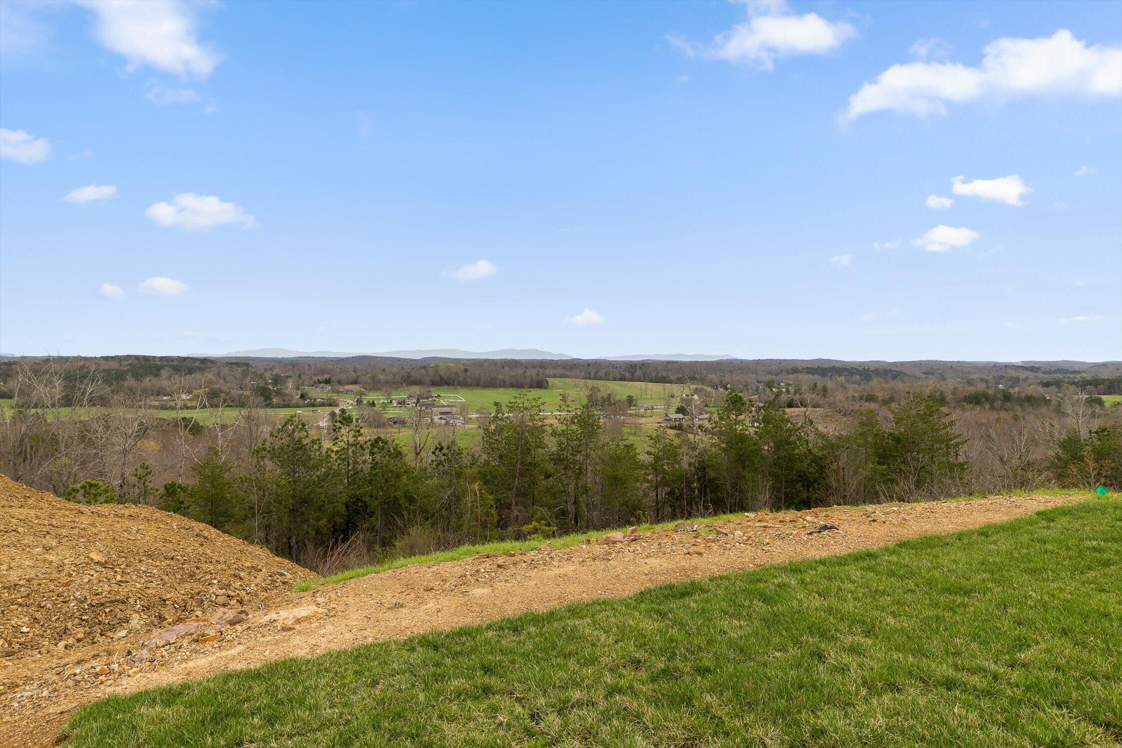 10946 London Tower Place, Unit 64 Apison, TN 37302 - Photo 33 of 43 34-London-34