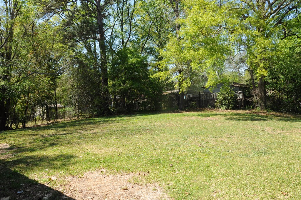 1491 Floyd Road Columbus, GA 31907 - Photo 24 of 26 large Back Yard