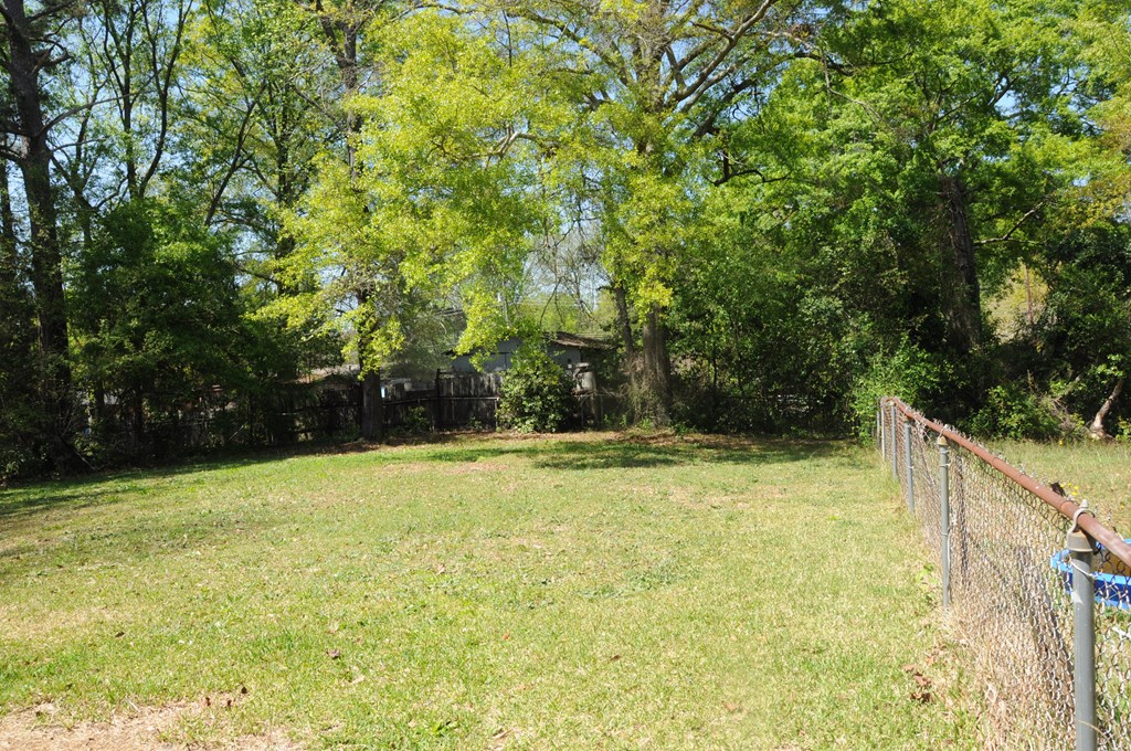 1491 Floyd Road Columbus, GA 31907 - Photo 25 of 26 Back Yard 3