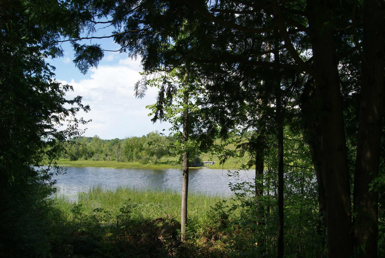 4459 Orchard Beach Road Cheboygan, MI 49721 - Photo 10 of 10 Gallery Image 10