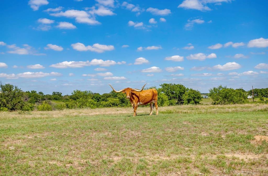 5520 Dido Hicks Road Fort Worth, TX 76179 - Photo 28 of 32