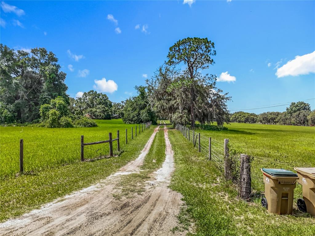 41204 Emeralda Island Road Leesburg, FL 34788 - Photo 2 of 53 a view of a lake with a garden