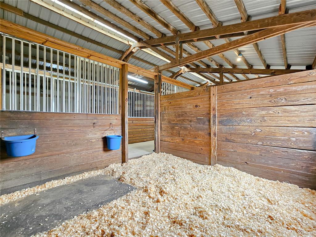 41204 Emeralda Island Road Leesburg, FL 34788 - Photo 23 of 53 a view of a backyard of a house