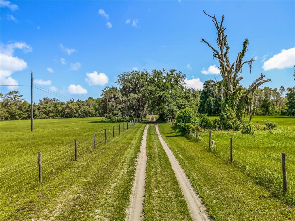 41204 Emeralda Island Road Leesburg, FL 34788 - Photo 3 of 53 a view of a lake with a yard
