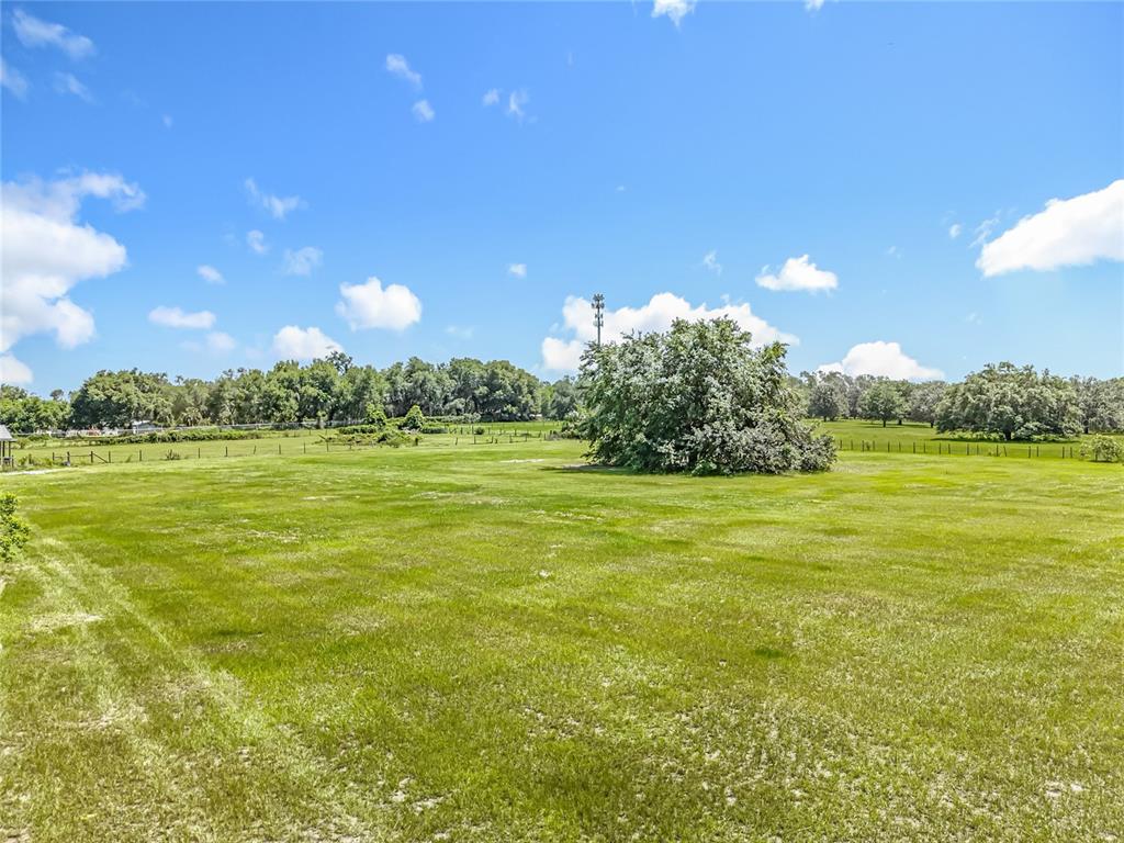 41204 Emeralda Island Road Leesburg, FL 34788 - Photo 36 of 53 a view of a big yard with an ocean view