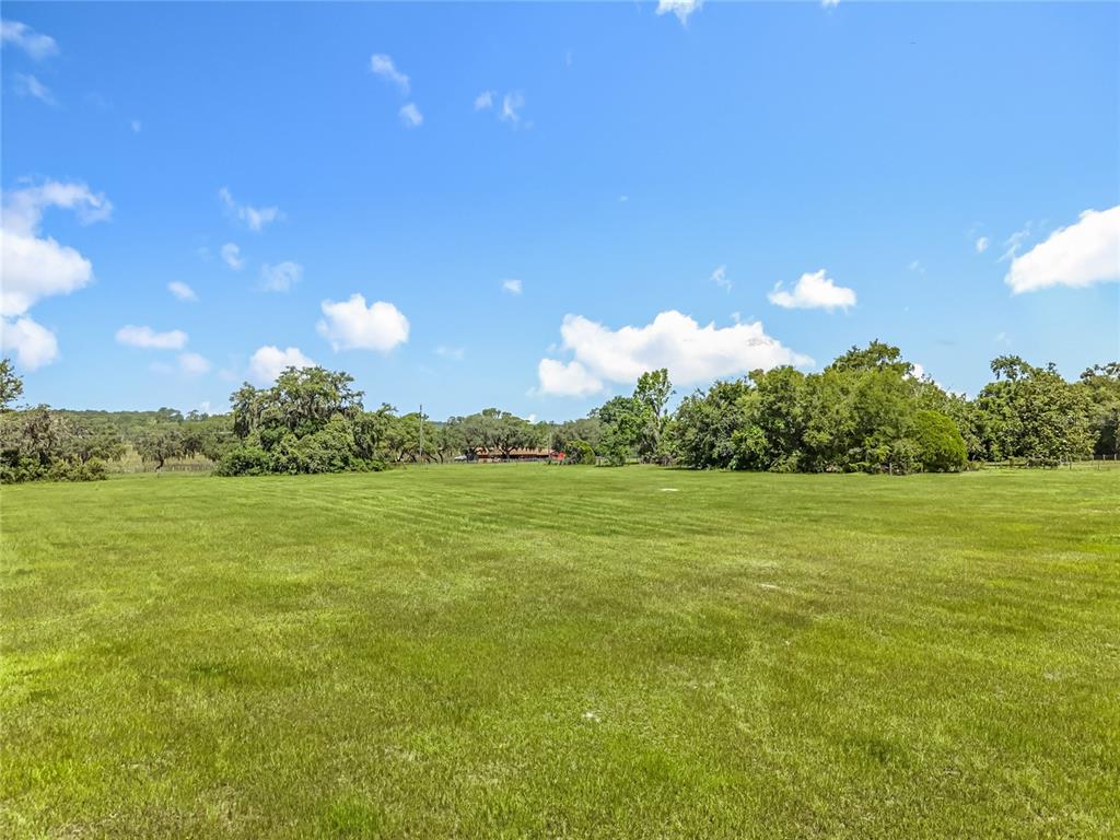 41204 Emeralda Island Road Leesburg, FL 34788 - Photo 38 of 53 a view of a field with an outdoor space