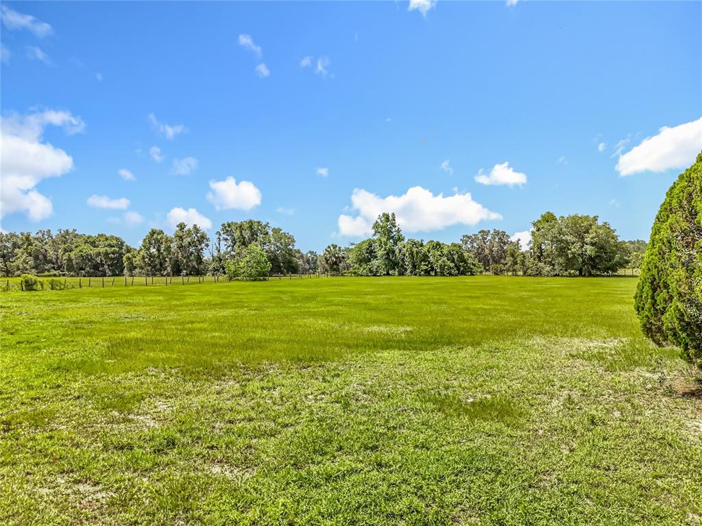 41204 Emeralda Island Road Leesburg, FL 34788 - Photo 39 of 53 a view of a golf course with a lake