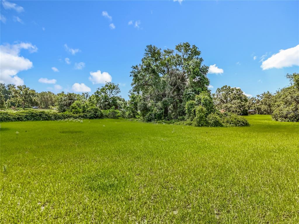 41204 Emeralda Island Road Leesburg, FL 34788 - Photo 41 of 53 a view of yard with swimming pool and green space