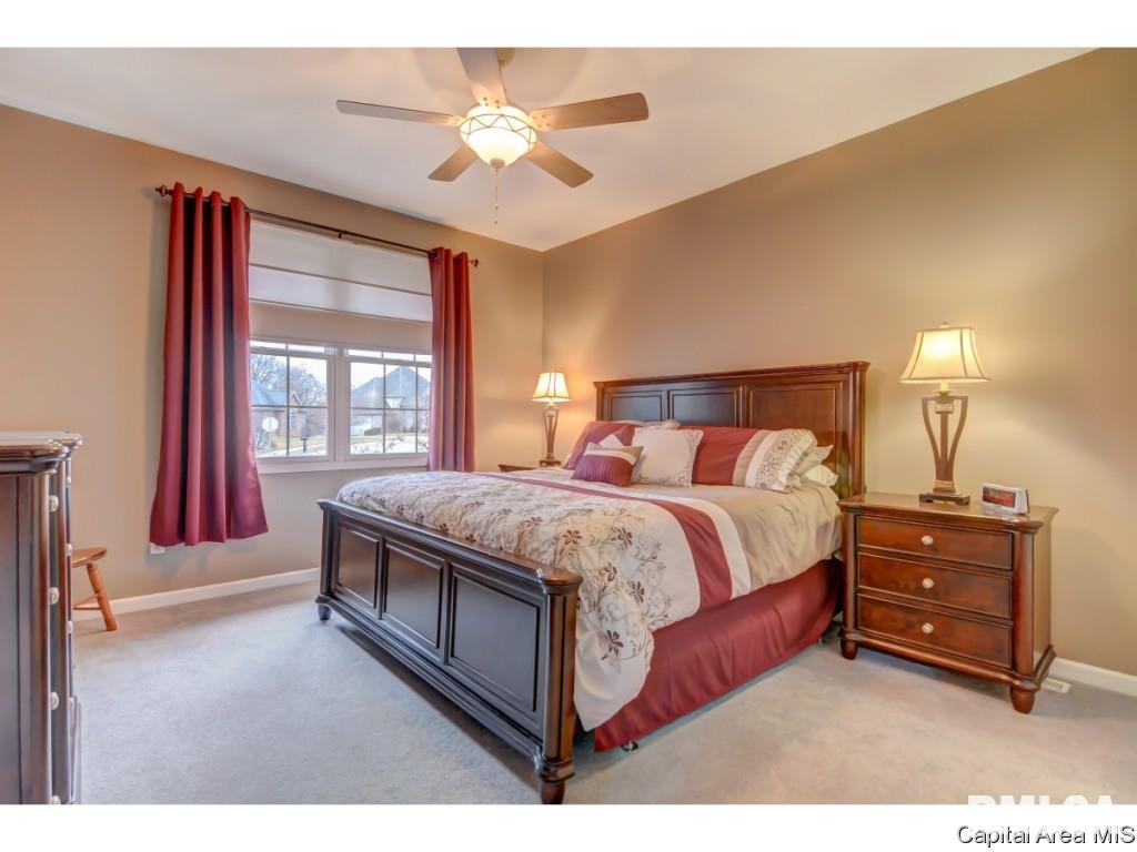 40 Woodland Trail Rochester, IL 62563 - Photo 22 of 35