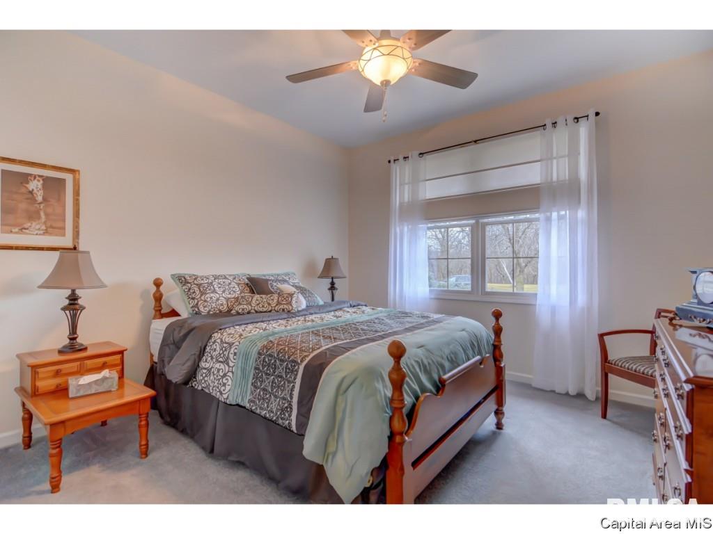 40 Woodland Trail Rochester, IL 62563 - Photo 26 of 35