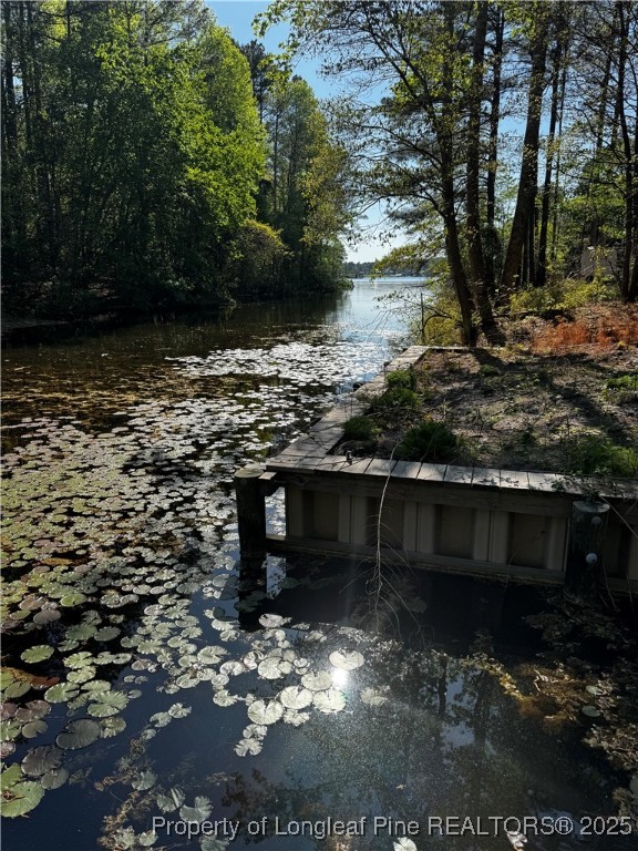 864 Vic Keith Road Sanford, NC 27332 - Photo 12 of 19 a view of a wooden door and a yard