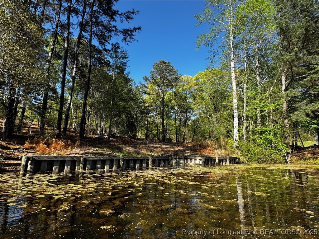 864 Vic Keith Road Sanford, NC 27332 - Photo 17 of 19 a view of swimming pool with outdoor seating and covered with trees in the background
