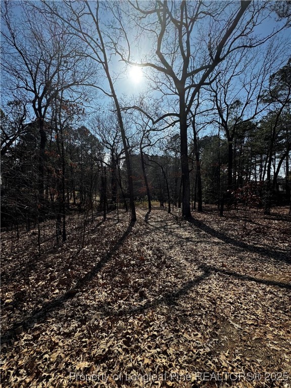 864 Vic Keith Road Sanford, NC 27332 - Photo 18 of 19 a view of backyard with green space