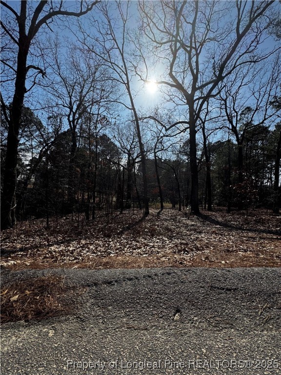 864 Vic Keith Road Sanford, NC 27332 - Photo 19 of 19 a backyard of a house with lots of green space