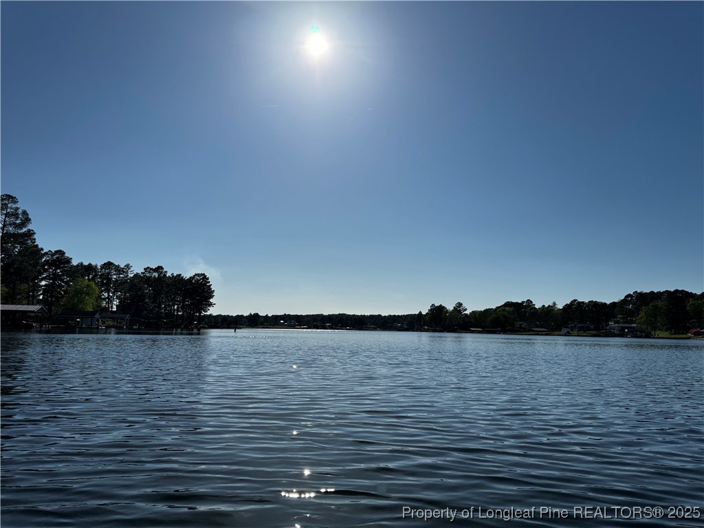 864 Vic Keith Road Sanford, NC 27332 - Photo 5 of 19 a view of lake