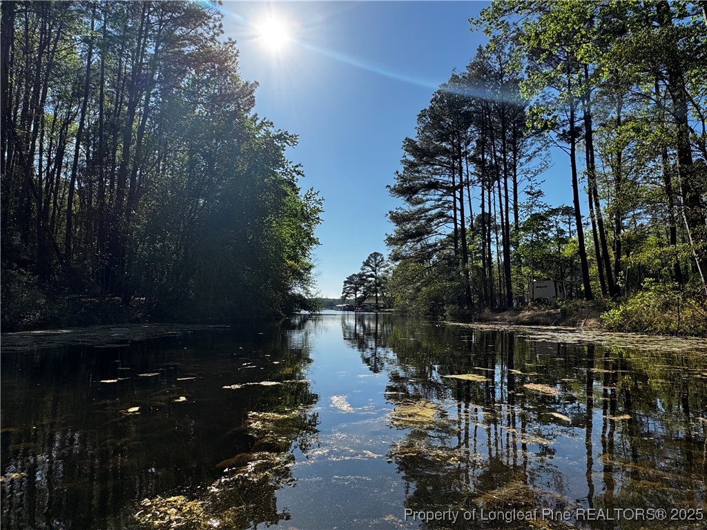864 Vic Keith Road Sanford, NC 27332 - Photo 6 of 19 a city view with water fall