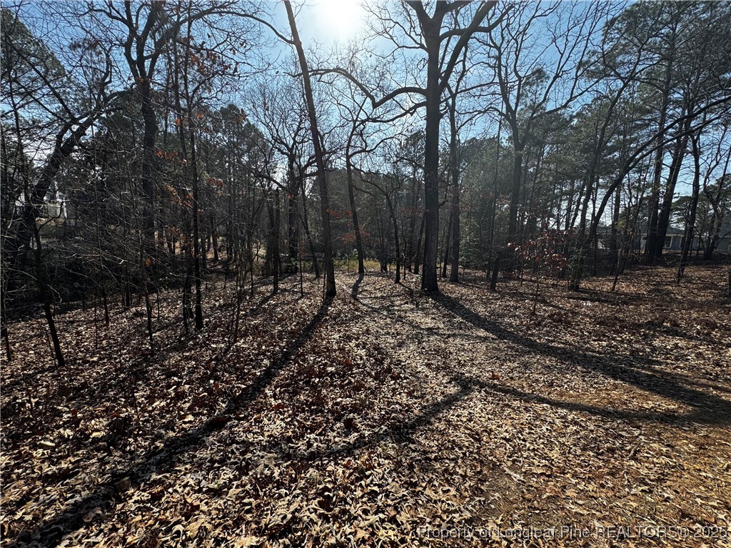 864 Vic Keith Road Sanford, NC 27332 - Photo 7 of 19 a view of outdoor space with trees