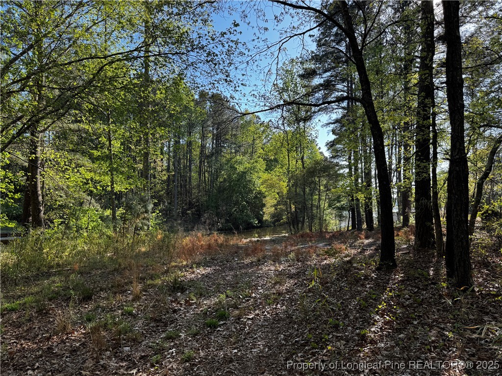 864 Vic Keith Road Sanford, NC 27332 - Photo 8 of 19 a view of a forest with trees